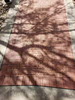 MHGS_Snapshot_005736.jpg