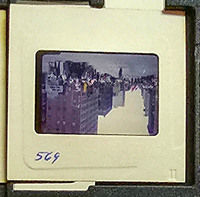 MHGS_Cotton_0985_slide.jpg
