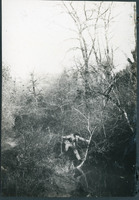 MHGS_Basore_Smith_AlbA_77f.jpg