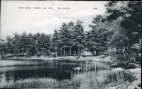 MHGS_Stump_0843.jpg