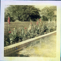 MHGS_McCaslin_212.jpg