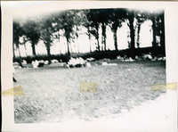 MHGS_Posey_038.jpg