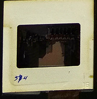 MHGS_Cotton_0990_slide.jpg