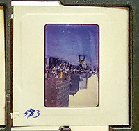 MHGS_Cotton_0989_slide.jpg