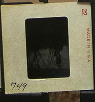 MHGS_Cotton_1048_slide.jpg