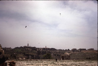 MHGS_Leach_1195.jpg