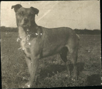MHGS_Norman_A50a.jpg