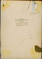 MHGS_McCaslin_165_back.jpg