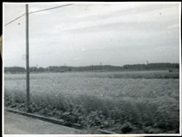 MHGS_Walton_SeydellCW_Album01_13d.jpg