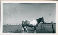MHGS_Otto_0611.jpg