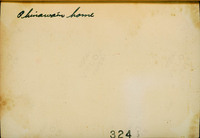 MHGS_Posey_024_back.jpg