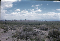 MHGS_Cotton_1181.jpg