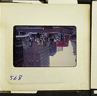MHGS_Cotton_0984_slide.jpg