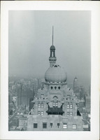 MHGS_Cotton_0124.jpg