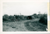 MHGS_Posey_027.jpg