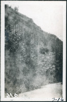 MHGS_Basore_Smith_AlbA_39d.jpg