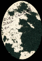 MHGS_Warner_0169_back.jpg