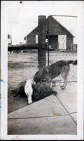 MHGS_Walton_Goldsmith_Al2_13a.jpg