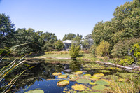 MHGS_Snapshot_003691.jpg