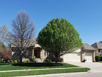 MHGS_Snapshot_00101.jpg