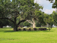 MHGS_Snapshot_005476.jpg