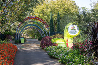MHGS_Snapshot_003674.jpg