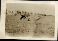 MHGS_Norman_A45c.jpg