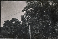 MHGS_Basore_Album _B_FP_183.jpg
