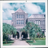 MHGS_Stump_0289.jpg