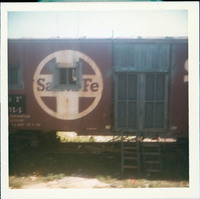 MHGS_Cotton_281.jpg