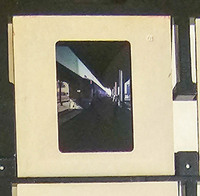 MHGS_Cotton_1137_slide.jpg