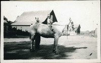MHGS_Walton_SeydellCE_003.jpg
