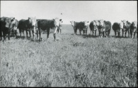 MHGS_Calvin_065.jpg