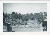 MHGS_Walton_SeydellCW_Album01_14d.jpg