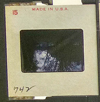 MHGS_Cotton_1041_slide.jpg