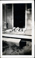 MHGS_Walton_Goldsmith_Al2_26c.jpg