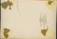 MHGS_McCaslin_171_back.jpg