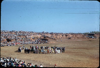 MHGS_Cotton_0600.jpg