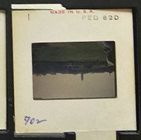 MHGS_Cotton_1059_slide.jpg
