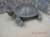 MHGS_PB_2007_Book_Gerber21.jpg
