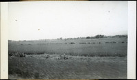 MHGS_Walton_SeydellCW_Album01_14e.jpg