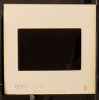 MHGS_Leach_0156_slide.jpg