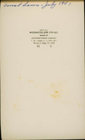 MHGS_Otto_0268_back.jpg