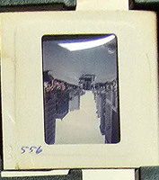 MHGS_Cotton_0971_slide.jpg