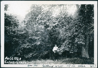 MHGS_Basore_Smith_AlbA_24e.jpg