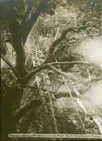 MHGS_Basore_Smith_AlbA_69b.jpg