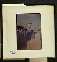 MHGS_Cotton_0976_slide.jpg