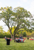 MHGS_Snapshot_002333.jpg