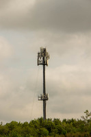 MHGS_Snapshot_001606.jpg