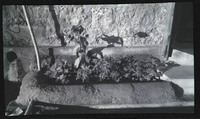 MHGS_Basore_Album_B_FP_18.jpg